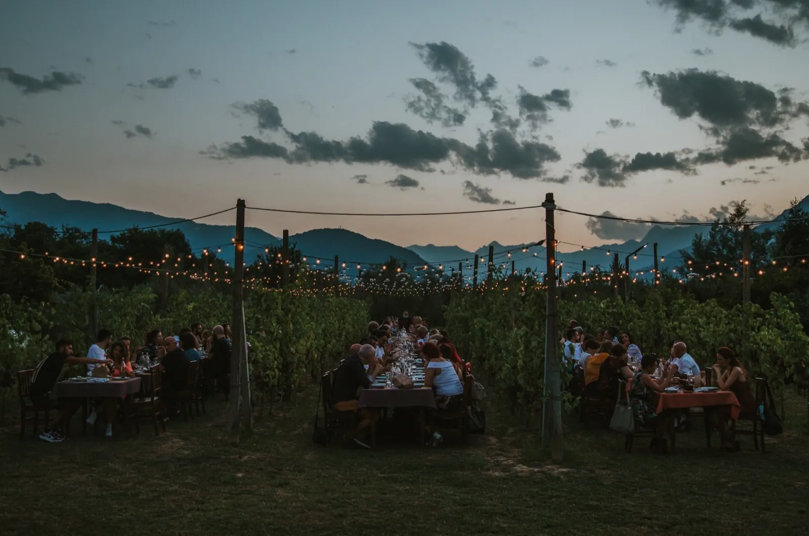 Una cena estiva tra le vigne di Bacca Blu