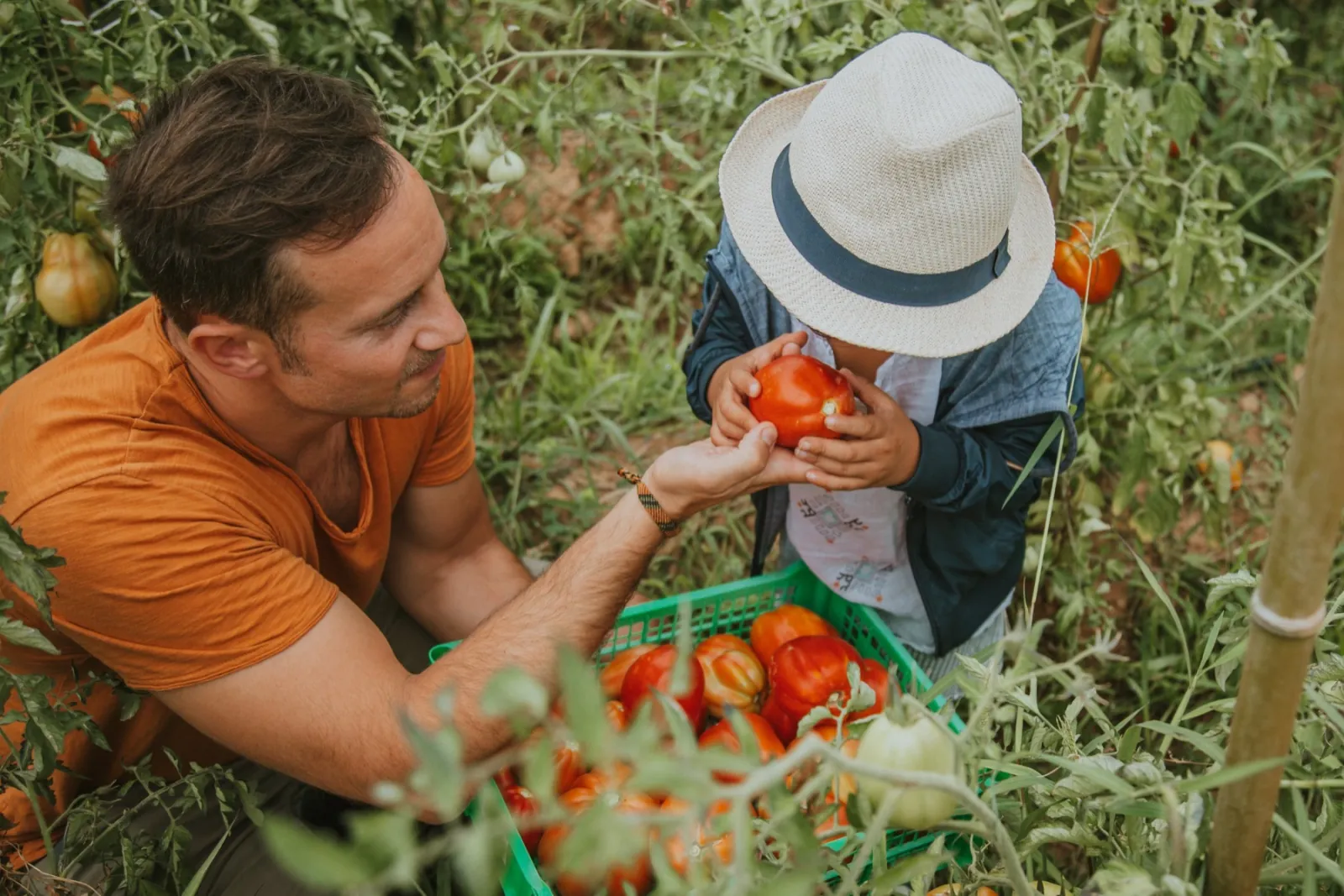 Gabriele porge un pomodoro a un bambino, che lo annusa