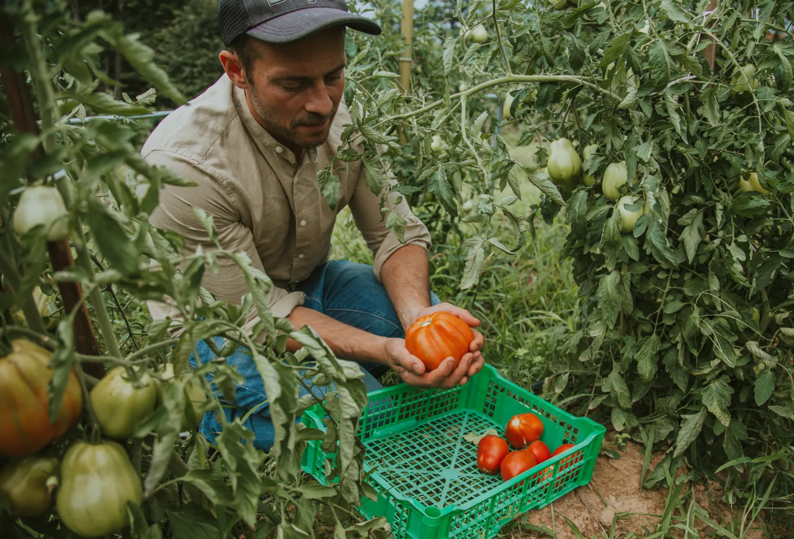 Gabriele nell’orto tiene tra le mani un pomodoro appena raccolto